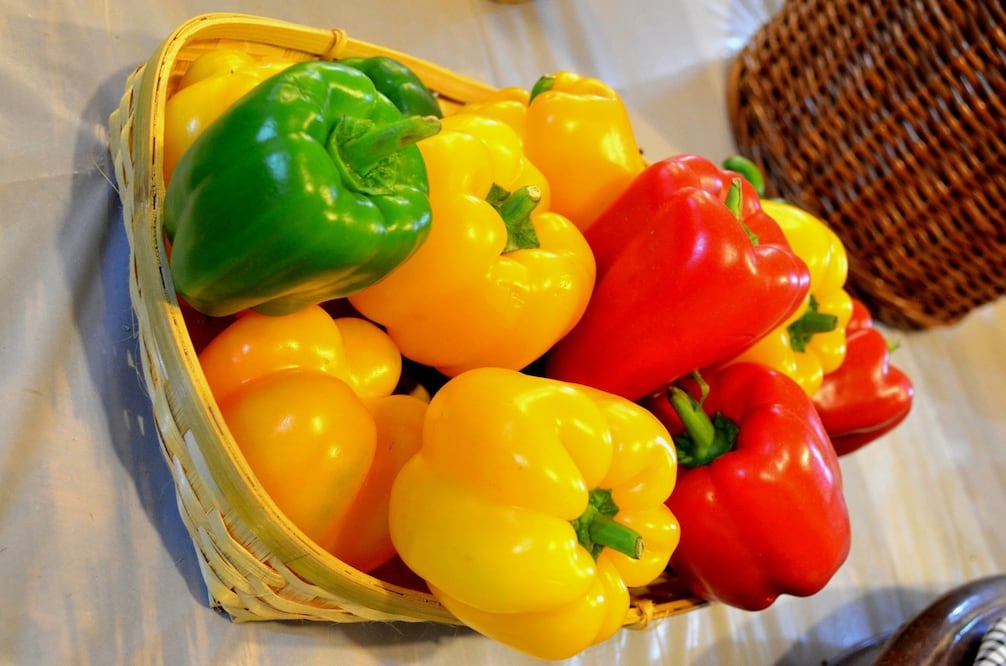 La variedad de colores del pimiento morrón depende del tiempo de madurez y otros factores (Crédito: Pixabay)