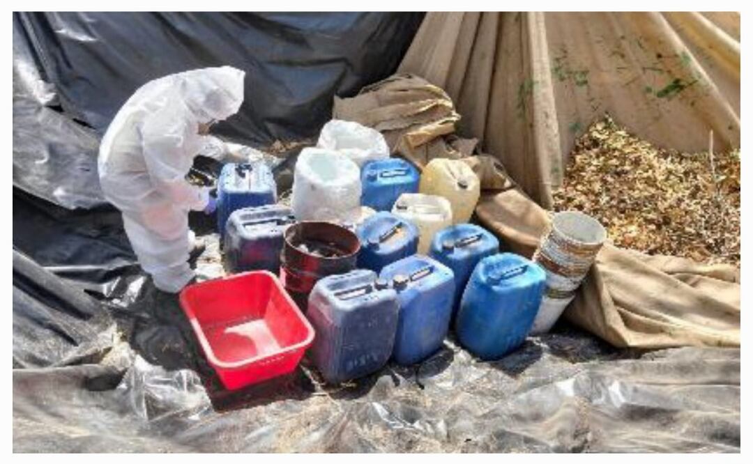 Localizan nuevos narcolaboratorios; Sinaloa suma 245 centros de drogas sintéticas. Foto: Especial