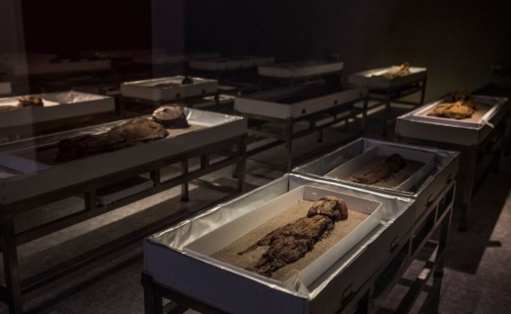 Cinco candidaturas latinoamericanas se integran oficialmente a la lista de Patrimonio Mundial de la Unesco