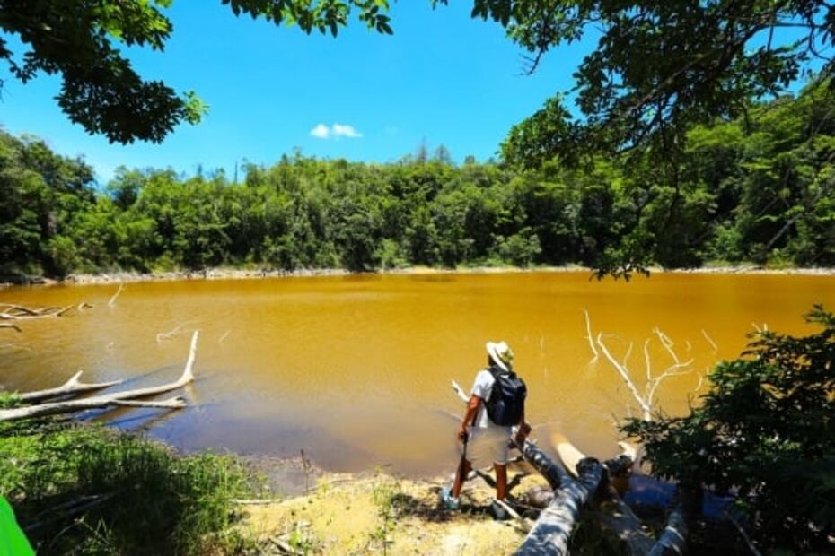 Chiapas: qué hacer en la selva Lacandona