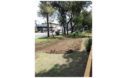 Sobse invertirá 248 mdp en rehabilitación de 19 camellones en CDMX