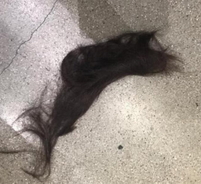 Eiza González se corta el cabello y muestra nuevo look