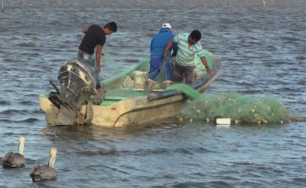 Quedan a la deriva, abordo de una hielera, tres pescadores en Chiapas
