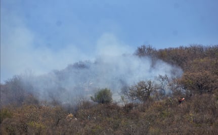 Durante 2025 se han registrado 153 incendios forestales en Puebla; casi 2 mil hectáreas fueron afectadas