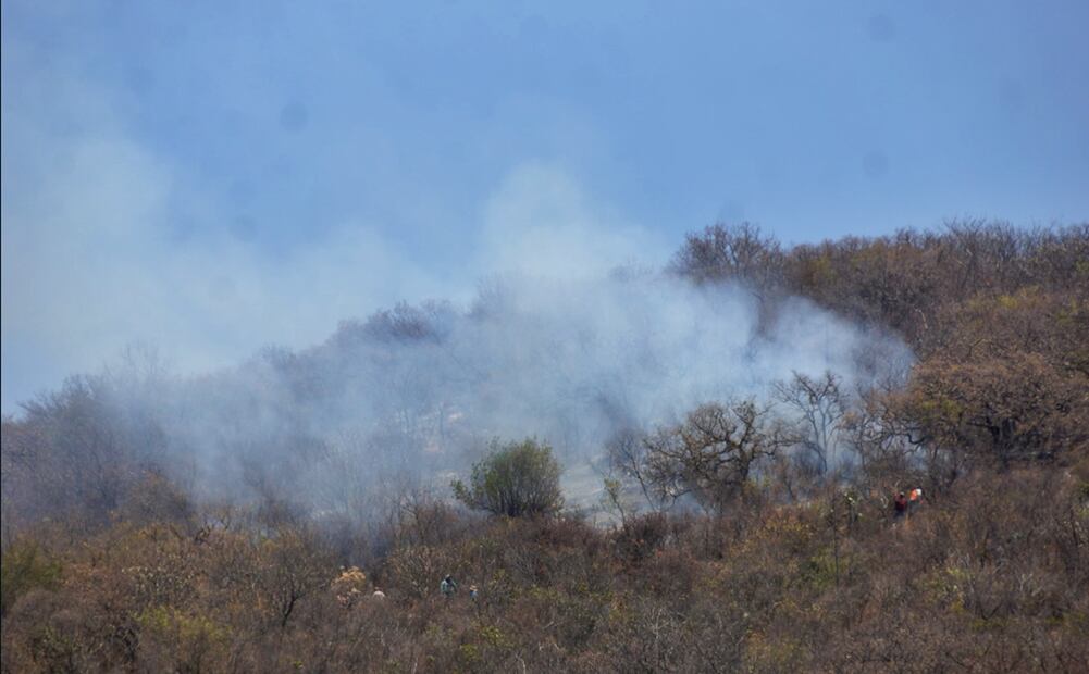 Pobladores intentan apagar un incendio forestal con cubetas de agua en Santo Domingo Tomaltepec, Oaxaca, el sábado 12 de abril de 2025. Foto: Edwin Hernández/EL UNIVERSAL