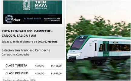 Tren Maya: "Es sólo para fifís": Precio del boleto desata críticas en redes sociales