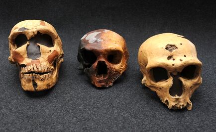 Los neandertales no eran como los pintaban