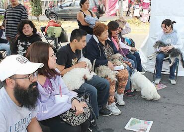 Iztacalco inicia jornadas gratuitas para mascotas; habrá esterilización y vacunación antirrábica