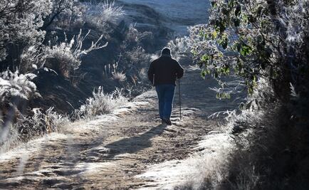 Muere de hipotermia presunto indigente en Tamaulipas