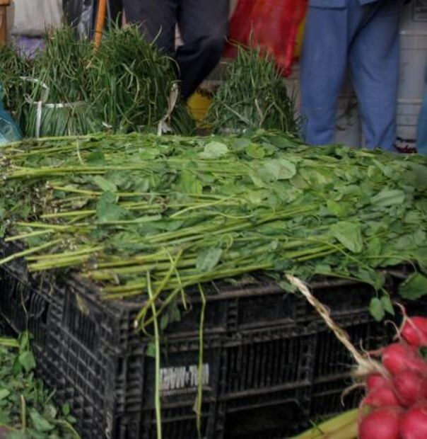 Super alimentos mexicanos que debes incluir en tu dieta