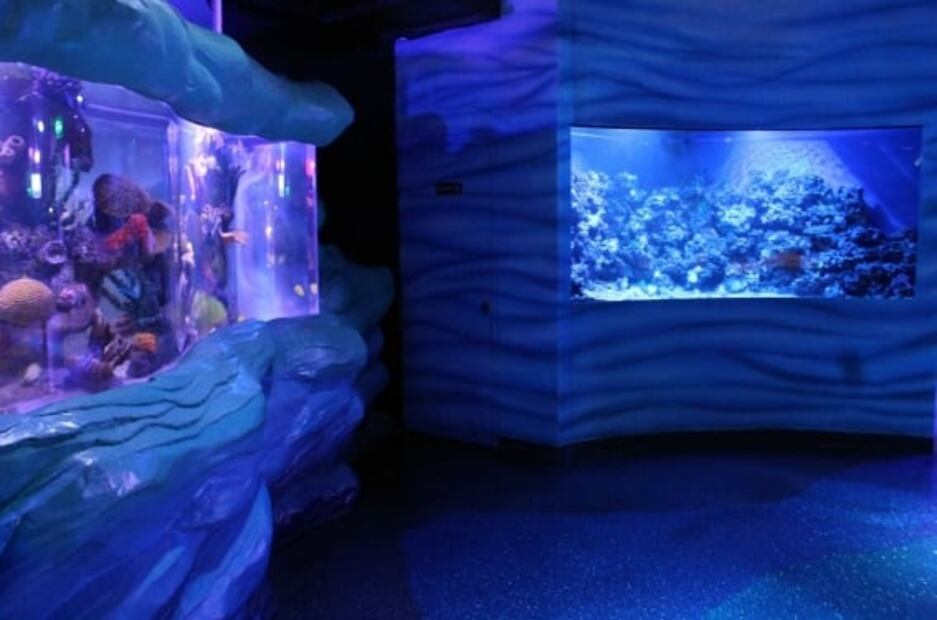 ¿Cuánto cuesta la entrada al Acuario Inbursa y qué incluye?