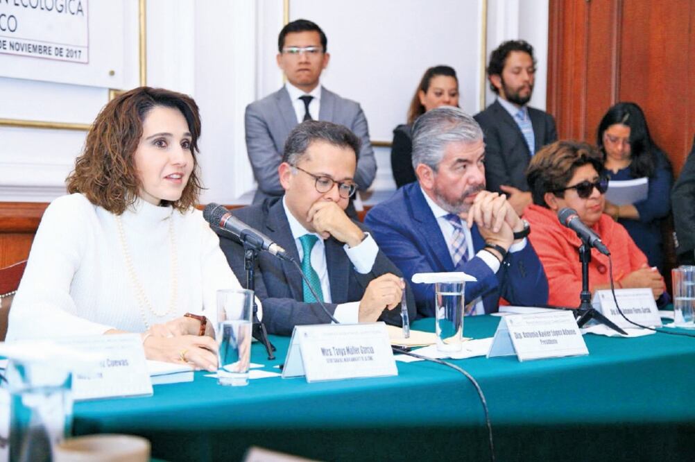 Tanya Müller, titular de la Sedema, compareció ante la Comisión de Medio Ambiente en la Asamblea Legislativa. (ESPECIAL)