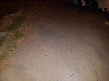 Reforzarán estrategia de seguridad tras tiroteo en Nochistlán