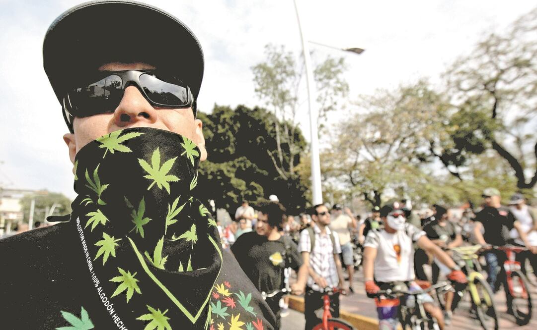 Según reporte, la principal droga por la que la gente busca tratamiento en México es la marihuana. Foto: ARCHIVO AFP