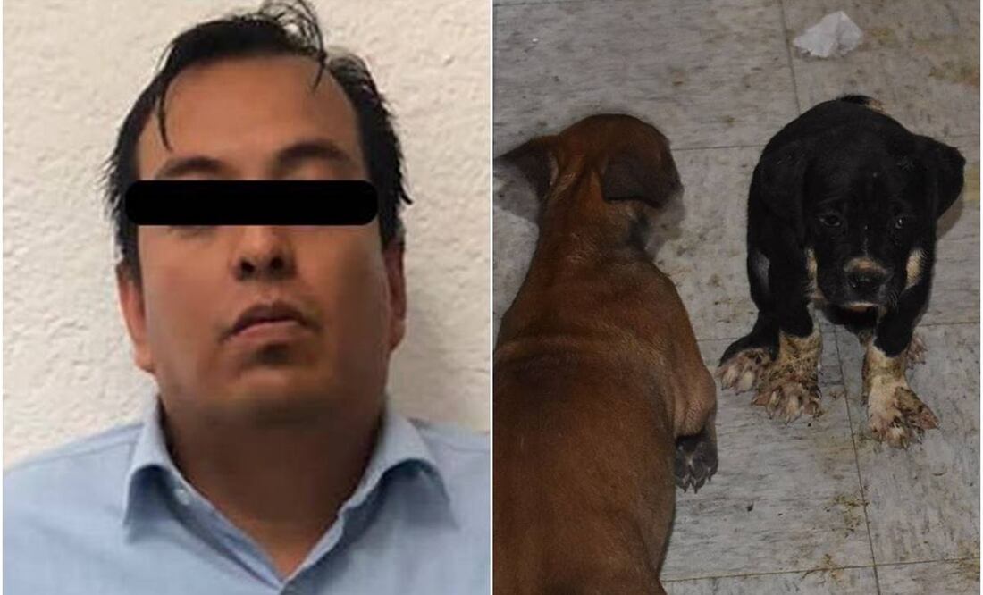Jesús es investigado por maltrato animal. Foto: Especial
