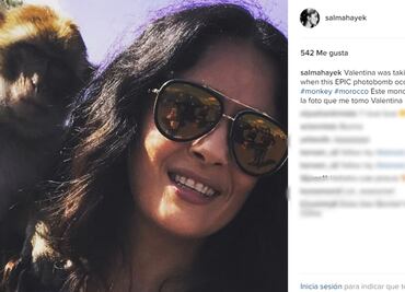 Un mono se cuela en foto de Salma Hayek
