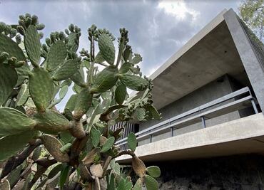 Asiste el fin de semana al Primer Festival de la Cocina Mexicana en el Anahuacalli