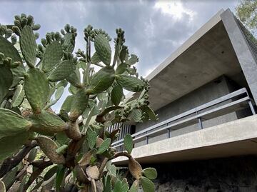 Asiste el fin de semana al Primer Festival de la Cocina Mexicana en el Anahuacalli