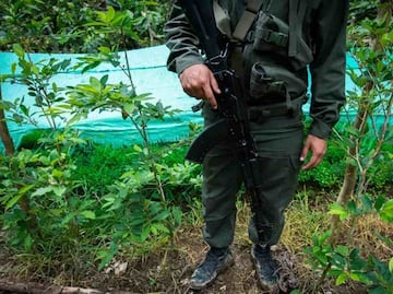 Desmantelan pista aérea clandestina en Venezuela; presuntamente utilizada por carteles del narcotráfico internacional