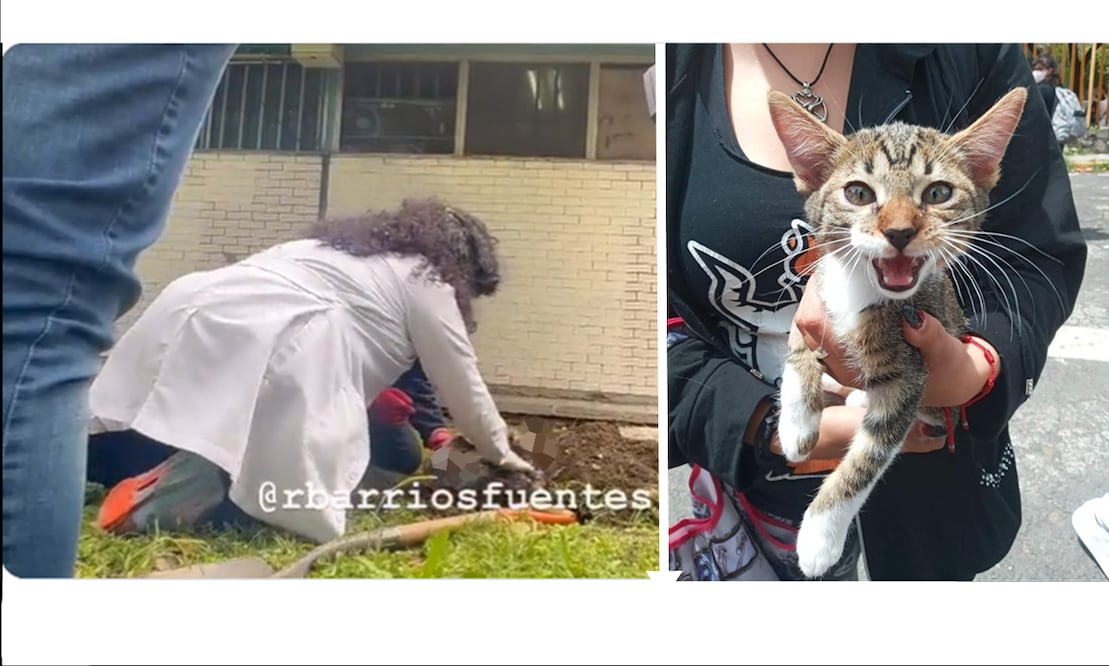 FOTO: tomada de video @rbarriosfuentes y Especial