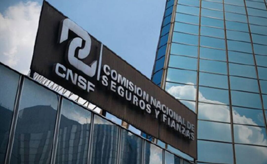 Foto: tomada de Comisión Nacional de Seguros y Fianzas (@CNSFoficial)