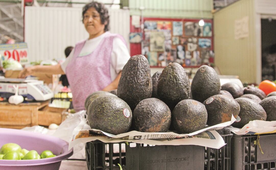 (Foto: Archivo / EL UNIVERSAL)