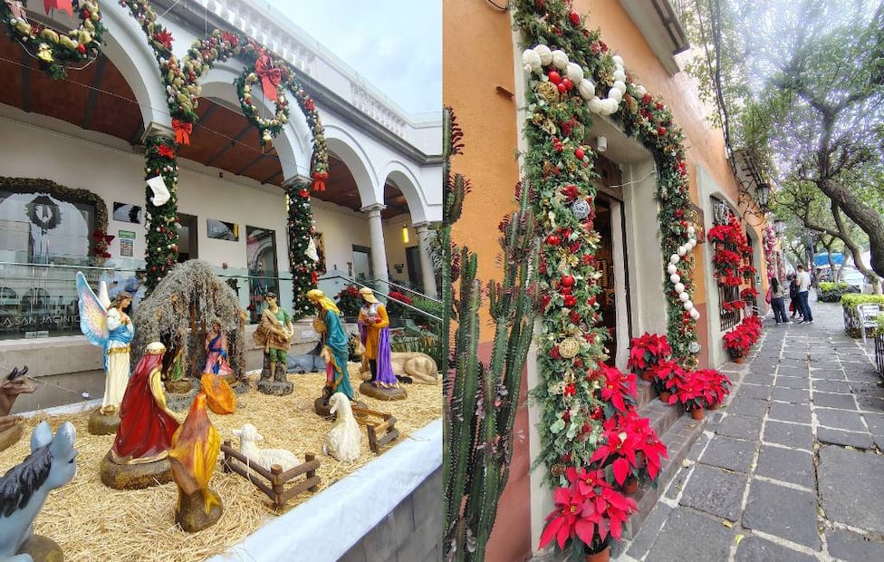 Fotos: Ecotour México