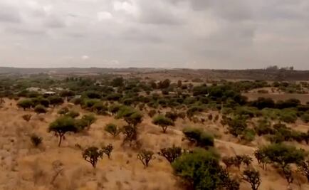 Decretan Bosque de Cobos-Parga como área natural protegida de Aguascalientes