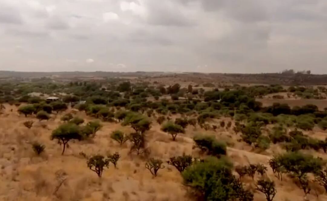 Foto: captura de pantalla