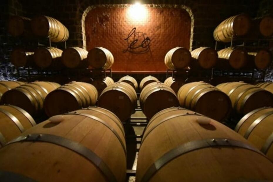 El mejor vino Cabernet Sauvignon del mundo se produce en México