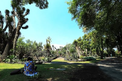 Cómo visitar el asombroso Jardín Botánico de la UNAM en la CDMX