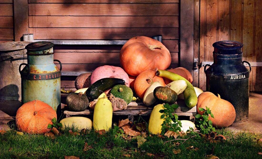 Los alimentos de temporada suelen ser más baratos / Pixabay