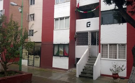 Señora afirma que no arrojó a perro desde azotea en Cuautitlán Izcalli