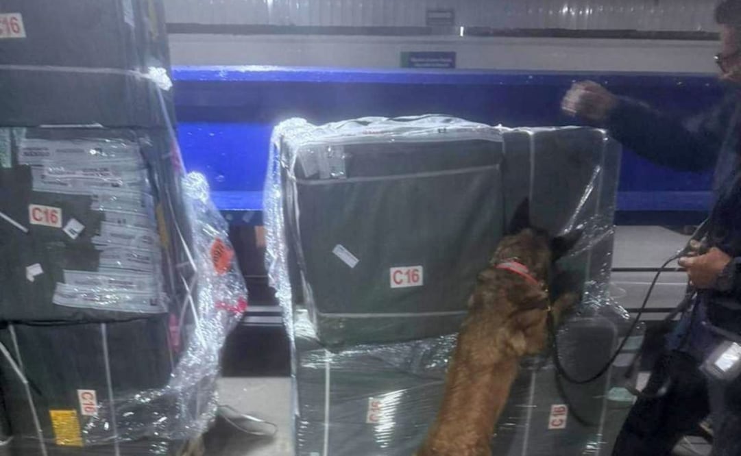 Agentes de la Secretaría de Marina (Semar) y de la aduana confiscaron un cargamento de cigarros irregulares en el Aeropuerto Internacional de la Ciudad de México (AICM). Foto: Especial