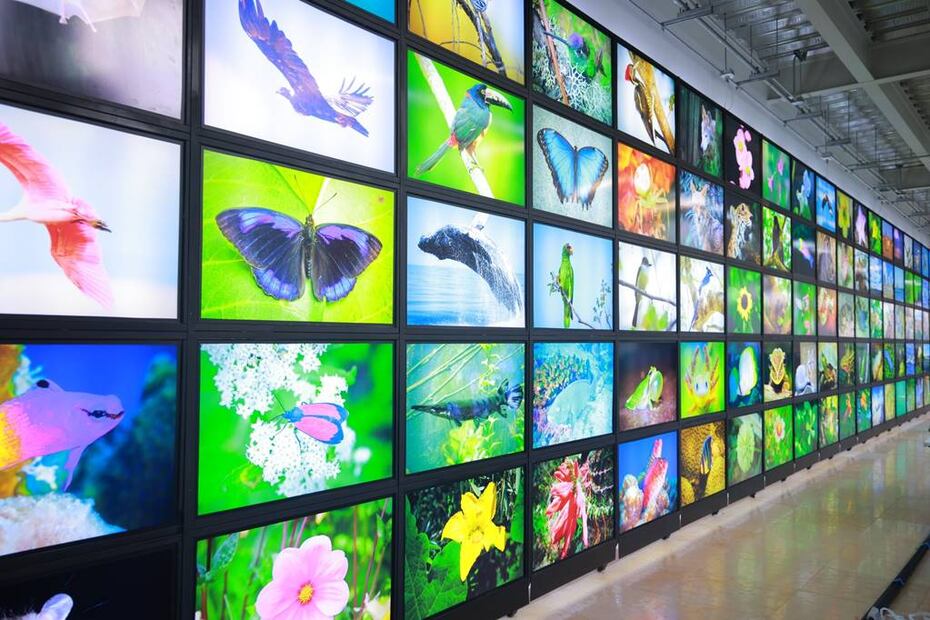 Foto: Twitter @ClaraBrugadaM