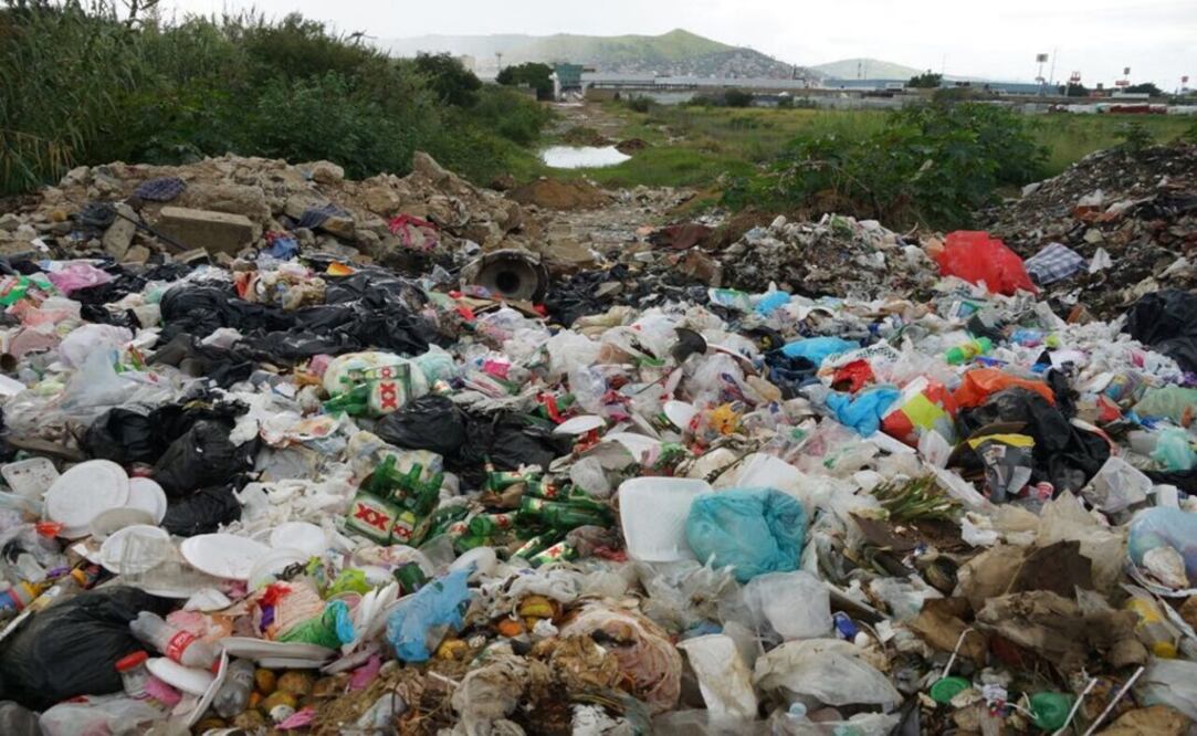 Foto: Edwin Hernández/ EL UNIVERSAL