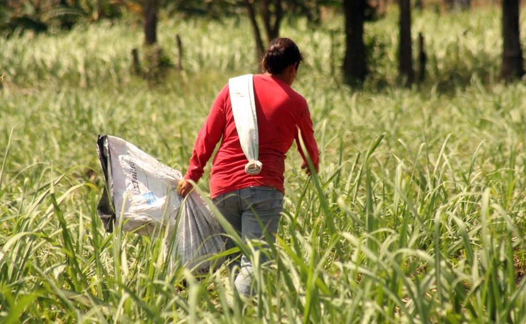 Las mujeres son más vulnerables a los impactos del cambio climático, ya que constituyen la mayoría de los pobres del mundo y son más dependientes de los recursos naturales más amenazados. Foto: Horacio Zamora/EL UNIVERSAL