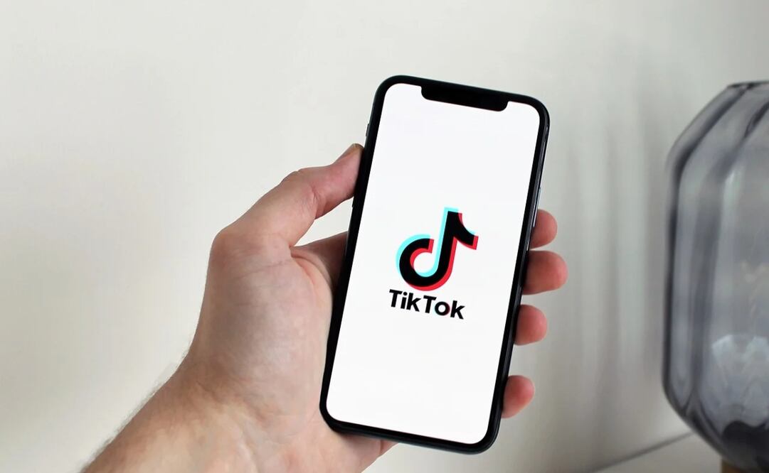 TikTok lanzó una herramienta a través de la cual los usuarios pueden crear su propio avatar. Foto: Pixabay