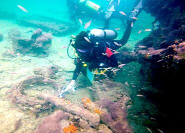 Submerged wreck of first ever Mayan slave ship identified in Mexico