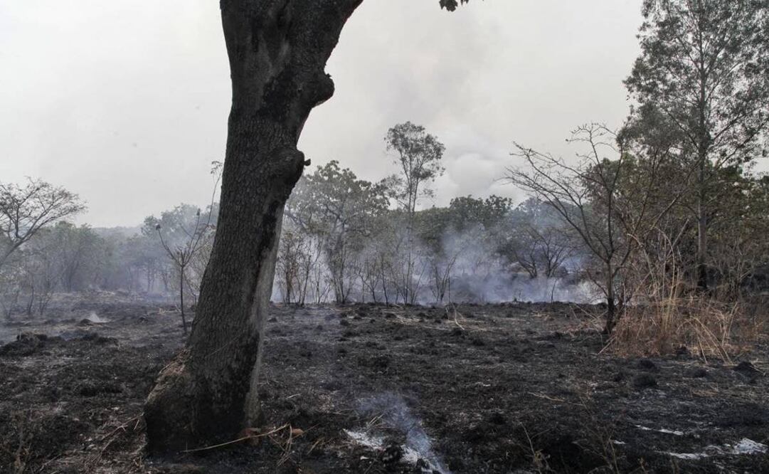 El incendio forestal inició en el paraje Ciudad Cajetes, dentro del Área de Protección de Flora y Fauna (APFF) Bosque La Primavera. Foto: Twitter / Enrique Alfaro 