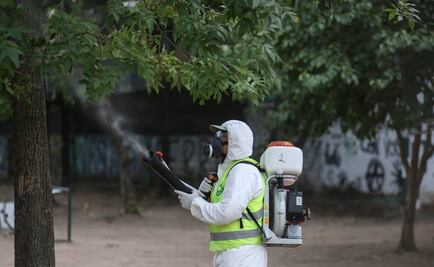 Mercosur planea coordinar acciones contra el Zika