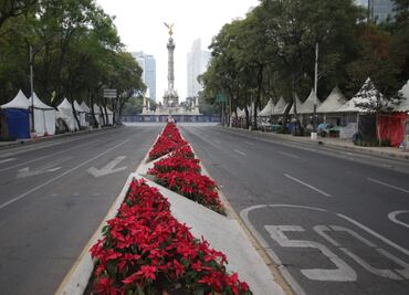 Registran mala calidad del aire en CDMX y Edomex el día de Navidad