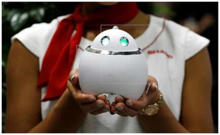 Lanzan  robots diseñados para las “smarthouse”