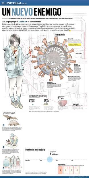Anatomía del virus que infectó al mundo