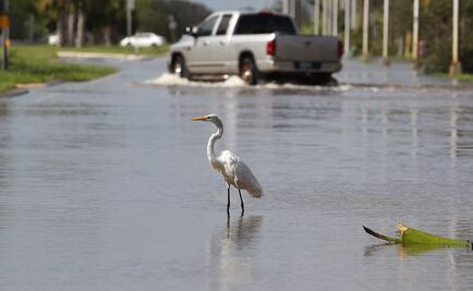 Despliega EU 15 mil efectivos en las zonas afectadas por "Irma"