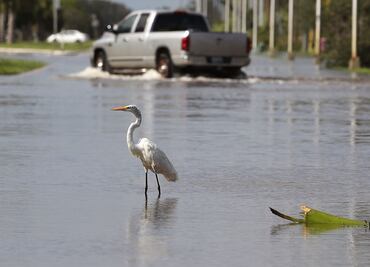 Despliega EU 15 mil efectivos en las zonas afectadas por "Irma"