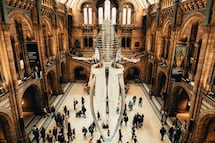 25 de las mejores atracciones gratuitas en el mundo