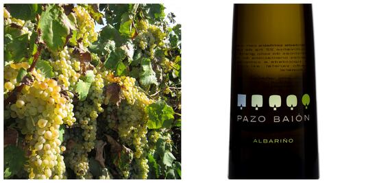 Conoce las cepas blancas de Rías Baixas