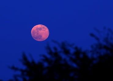 “Luna Rosa” cautiva alrededor del mundo