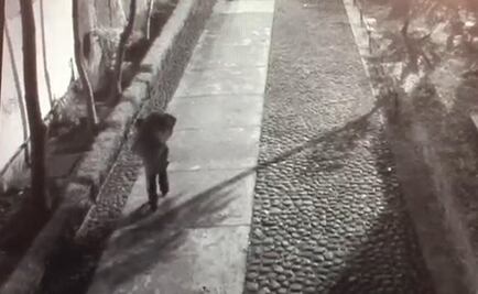 Graban a sujeto que carga maleta con cuerpo de Ingrid Alison en Tlatelolco